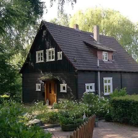 Вилла "Haus Am Knobben" Услар Экстерьер фото