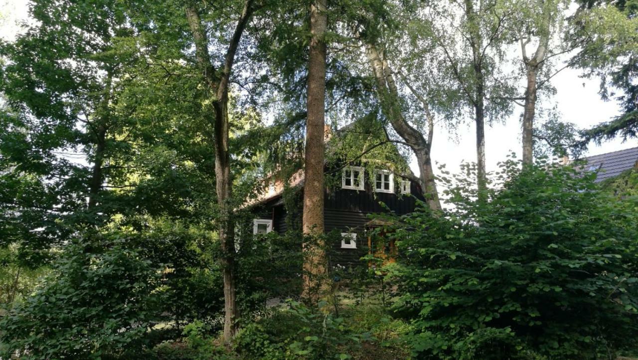 Вилла "Haus Am Knobben" Услар Экстерьер фото