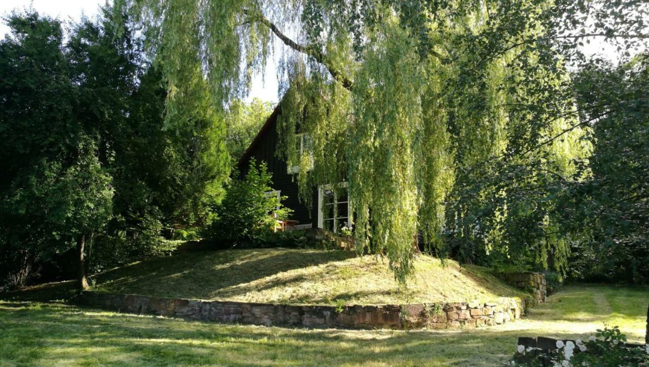 Вилла "Haus Am Knobben" Услар Экстерьер фото
